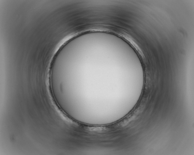X0000112170853200908070958