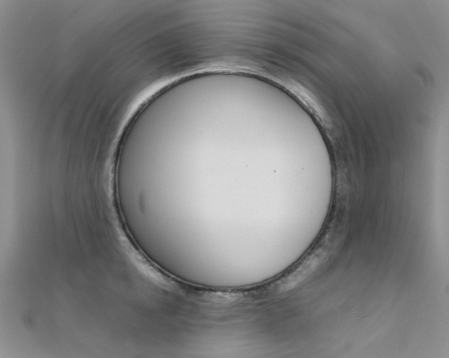 X0000112170854200908070958