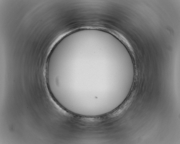 X0000112170855200908070958