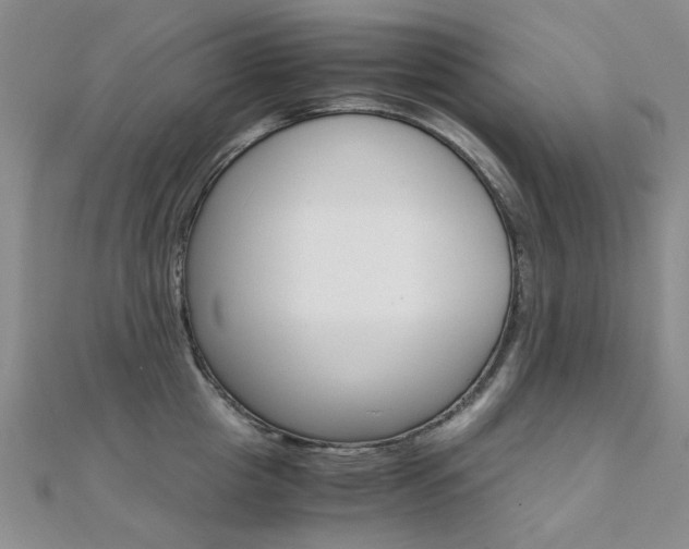 X0000112170857200908070958
