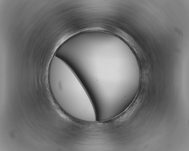 X0000112170858200908070958