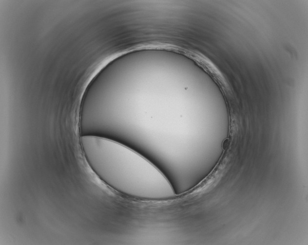 X0000112170860200908070958