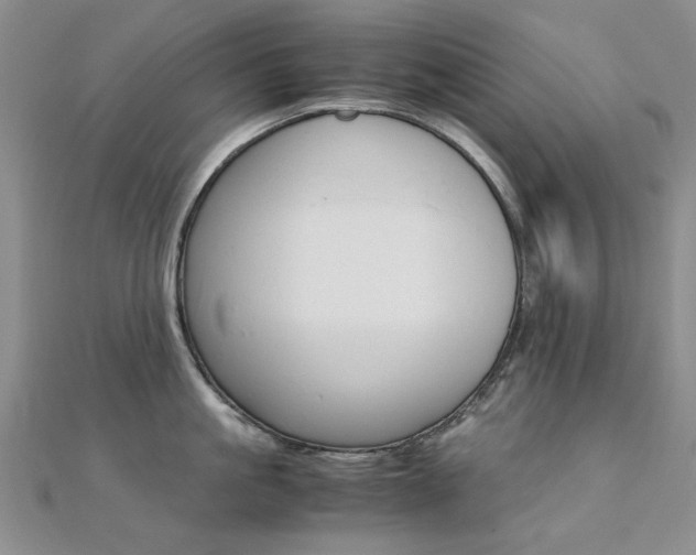 X0000112170861200908070958