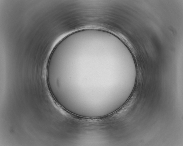 X0000112170862200908070958