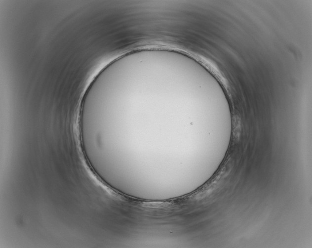 X0000112170863200908070958