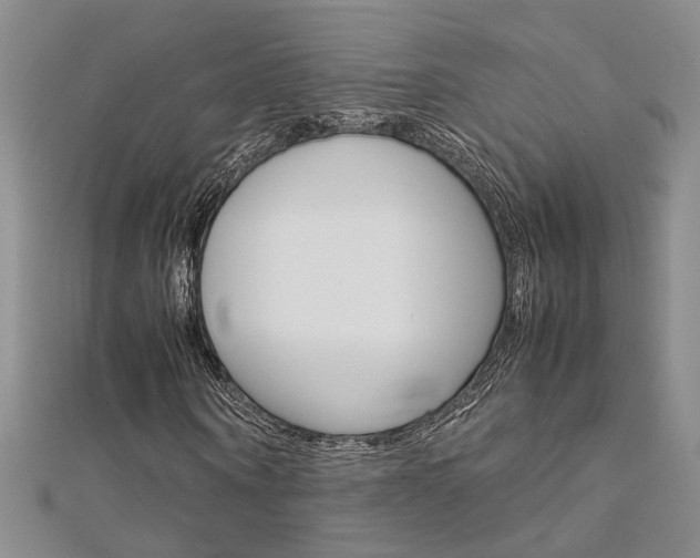X0000112170866200908070957