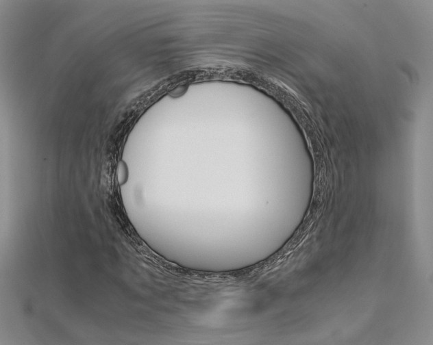 X0000112170869200908070957