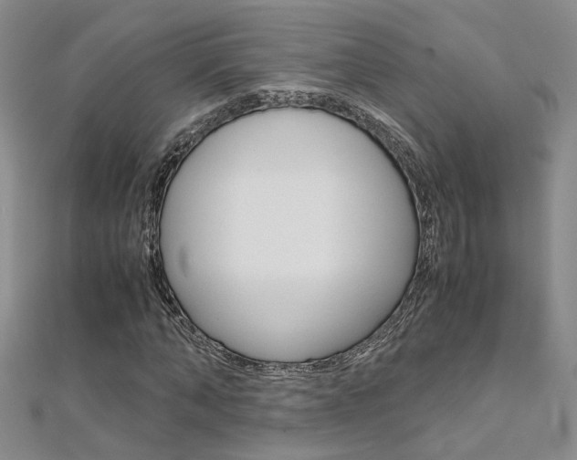 X0000112170870200908070957