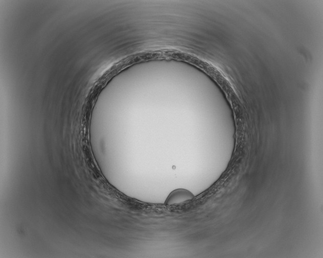X0000112170871200908070957