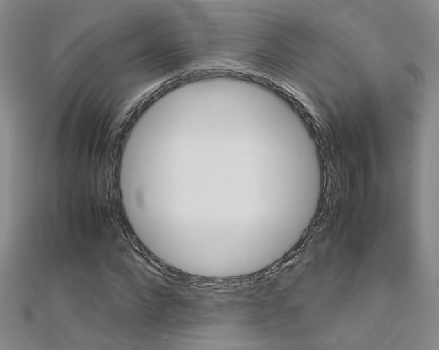 X0000112170872200908070957