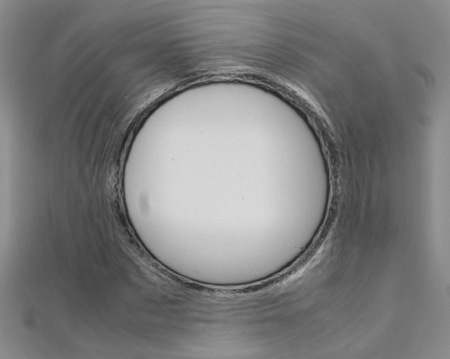 X0000112170873200908070957