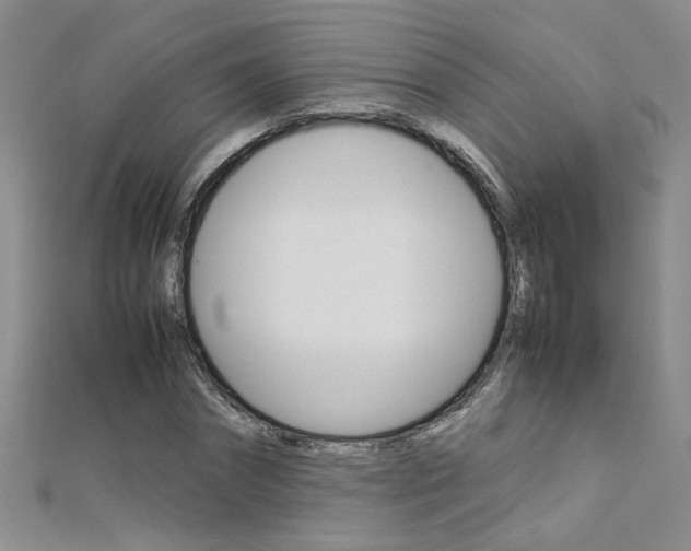 X0000112170874200908070957
