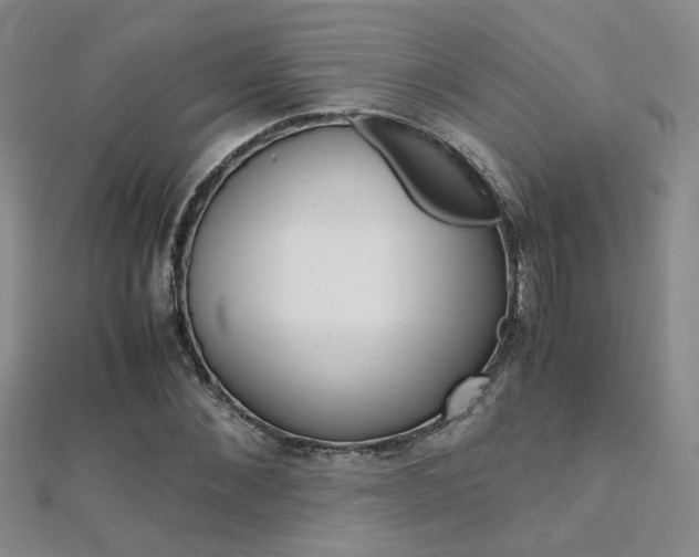 X0000112170876200908070957