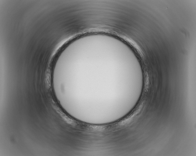 X0000112170878200908070957