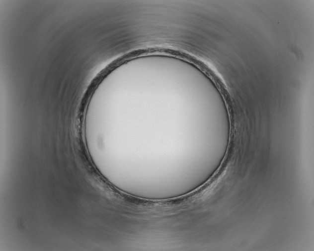 X0000112170879200908070957