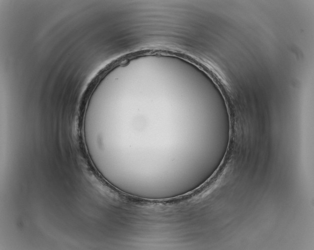 X0000112170880200908070957