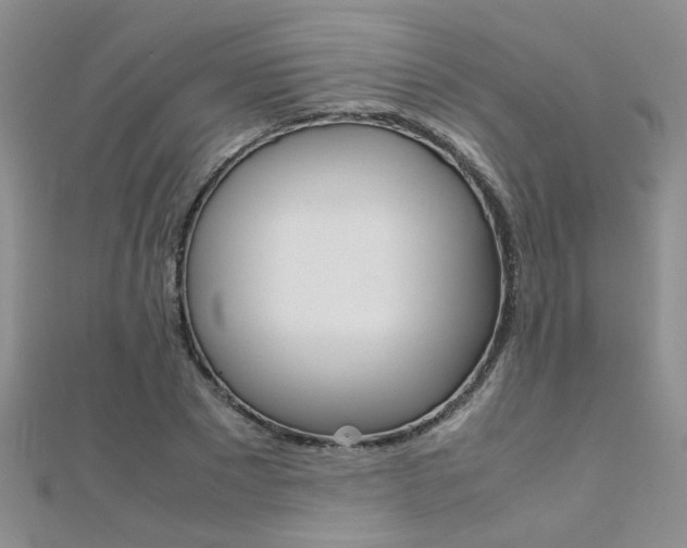 X0000112170881200908070957