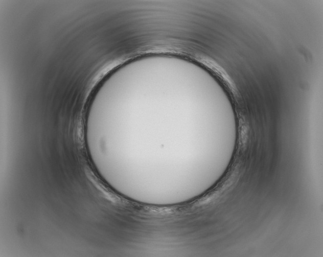X0000112170882200908070957