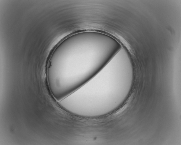 X0000112170885200908070957