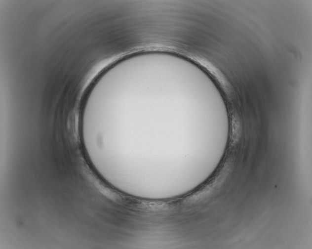 X0000112170886200908070957