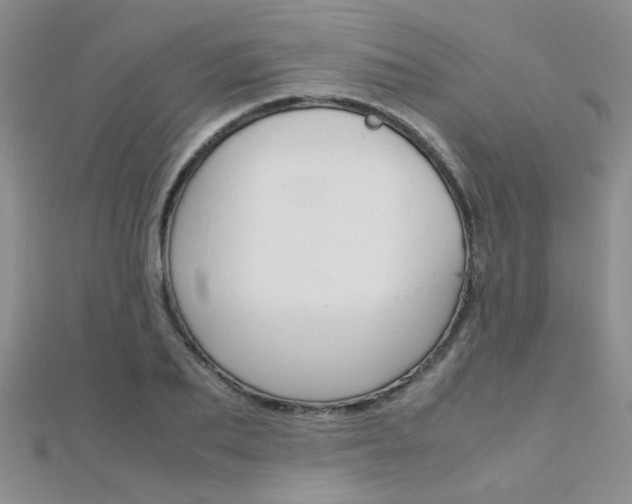 X0000112170887200908070957