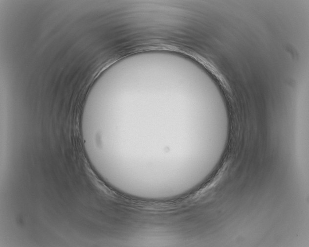 X0000112170889200908070957