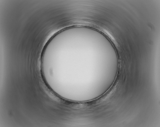X0000112170891200908070957