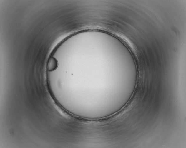 X0000112170894200908070957