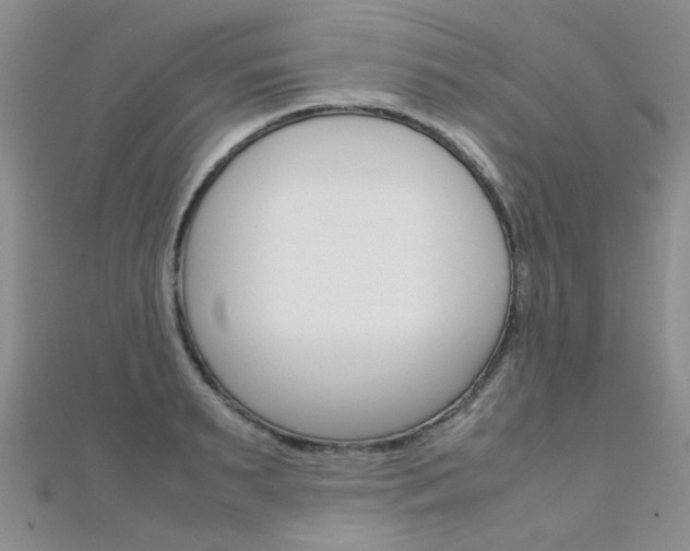 X0000112170895200908070957