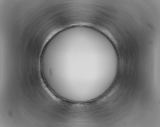 X0000112170898200908070957