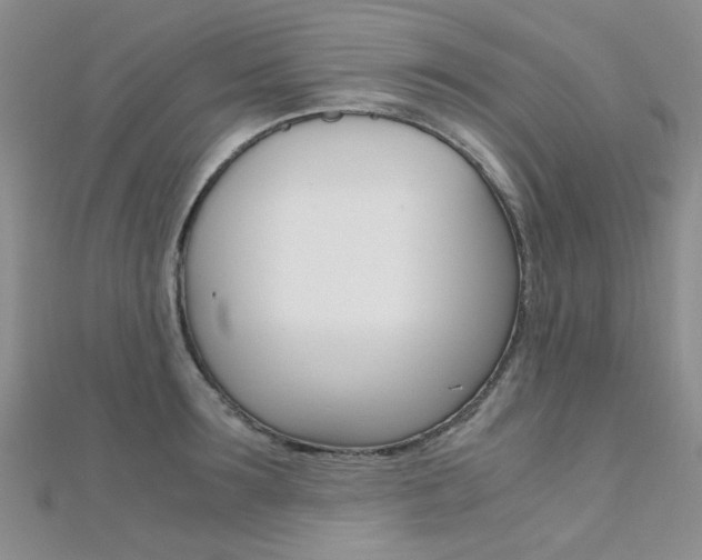 X0000112170899200908070957