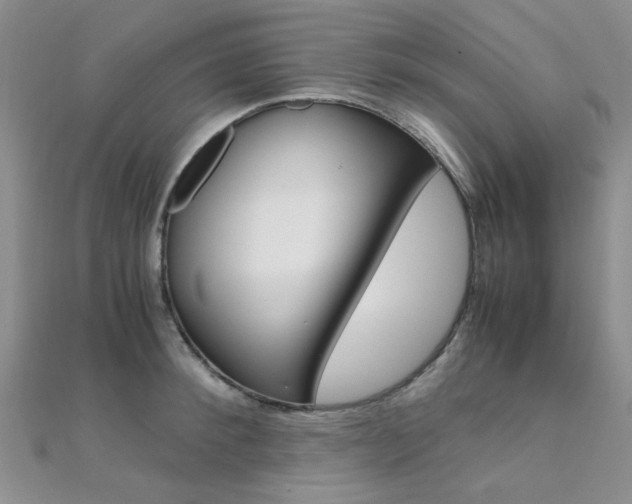 X0000112170900200908070957