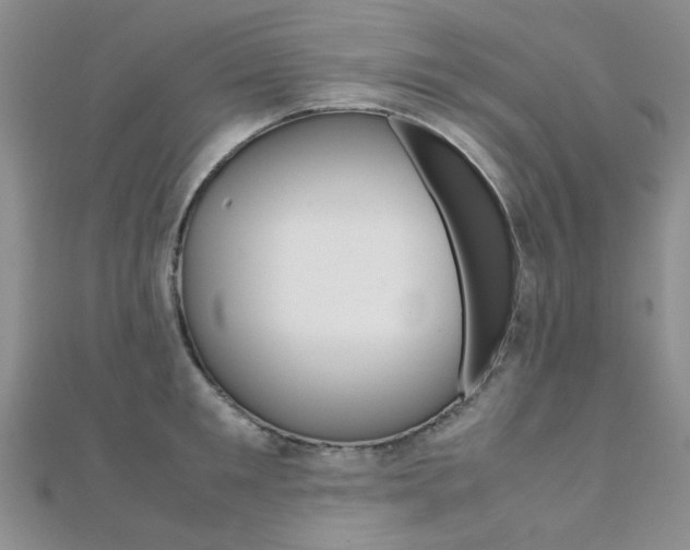 X0000112170901200908070957