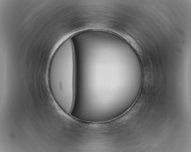 X0000112170904200908070957