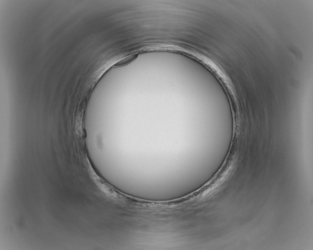 X0000112170905200908070957