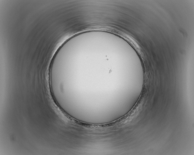 X0000112170907200908070957