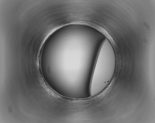 X0000112170908200908070957