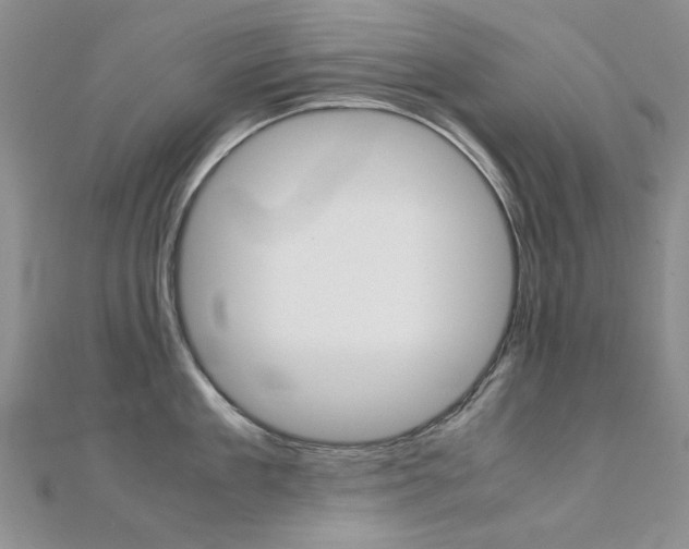 X0000112170909200908070957