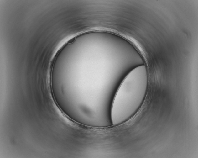 X0000112170910200908070957