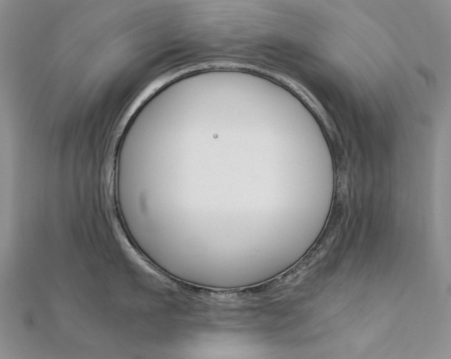 X0000112170911200908070957