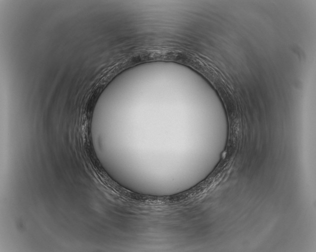 X0000112170914200908070956