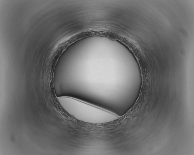 X0000112170920200908070956
