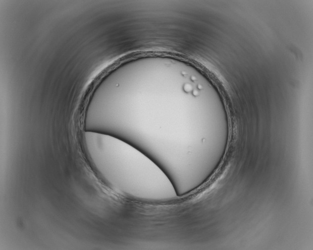 X0000112170925200908070956