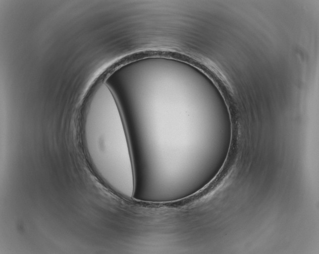 X0000112170926200908070956