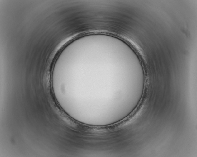 X0000112170933200908070956