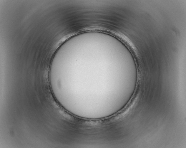 X0000112170937200908070956