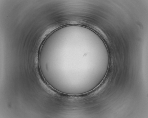 X0000112170938200908070956