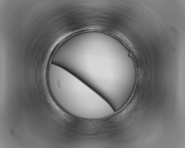 X0000112170939200908070957
