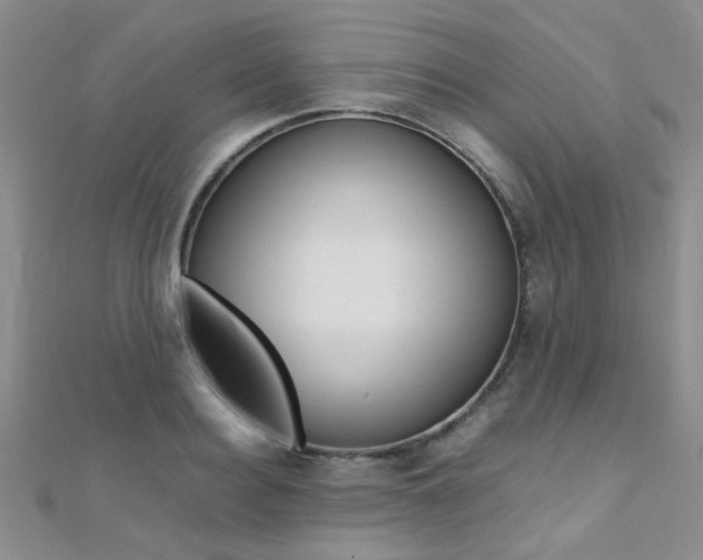 X0000112170940200908070957