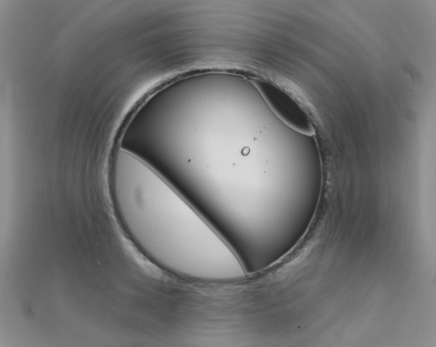X0000112170942200908070957